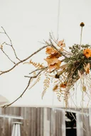 Carrick a Pompe scarf 45 (DUPLICATE)